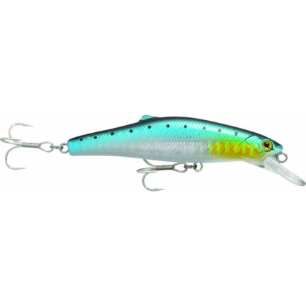 RAPTURE. PRO SHORE RUSH