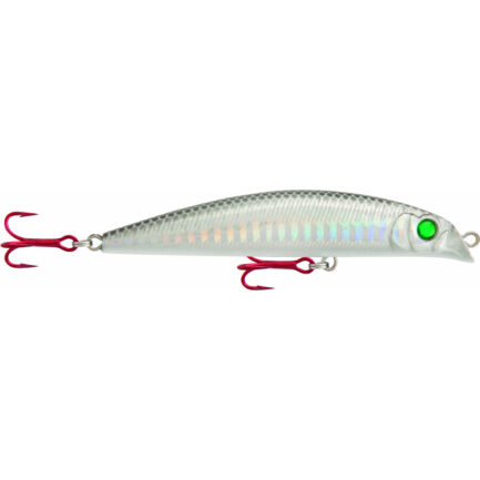 RAPTURE. PRO BAYRUSH