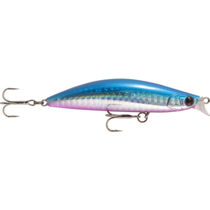 RAPTURE. BAYLINER 80MM